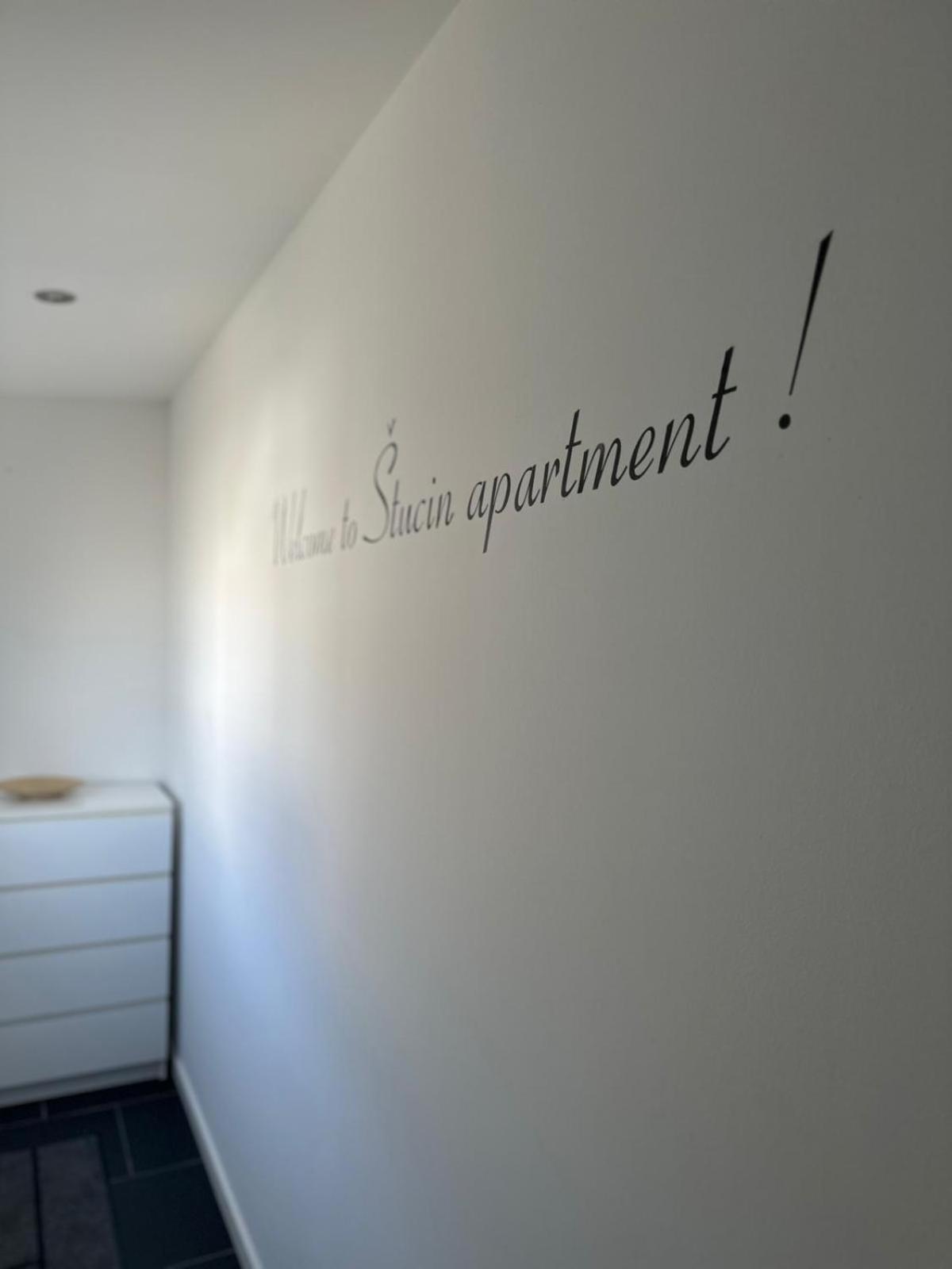 Apartment Stucin Vipava Exterior foto